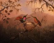 马丁约翰逊赫德 - Two Hummingbirds at a Nest